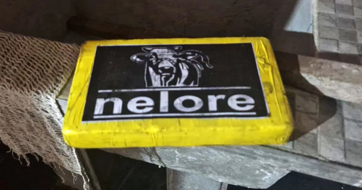 Desmantelan dos búnkers de drogas en el barrio 1-11-14 y detienen a cinco personas