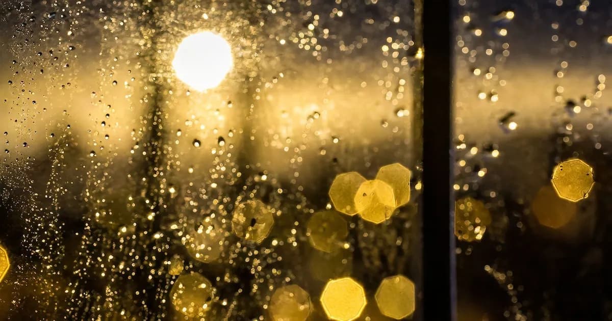 Pronóstico del clima para mañana en Ashburn, Virginia