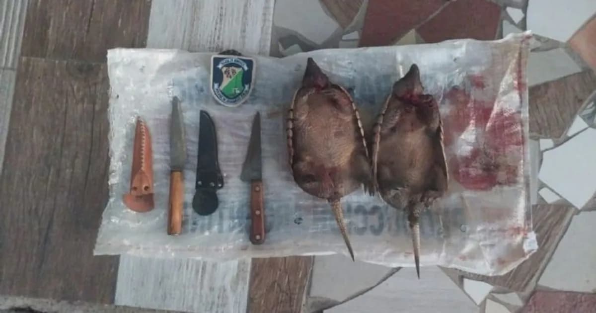 Detenidos por caza ilegal en Mendoza: siete hombres capturados en operativo policial