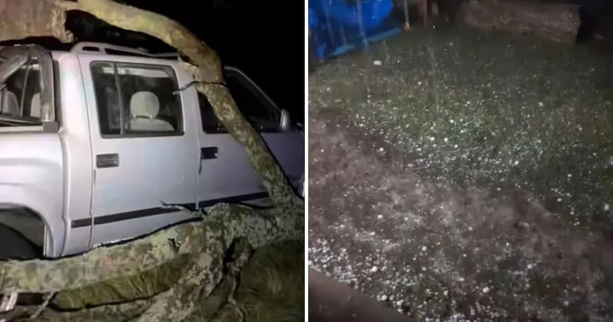 Temporal de viento y granizo azota La Pampa y causa serios daños