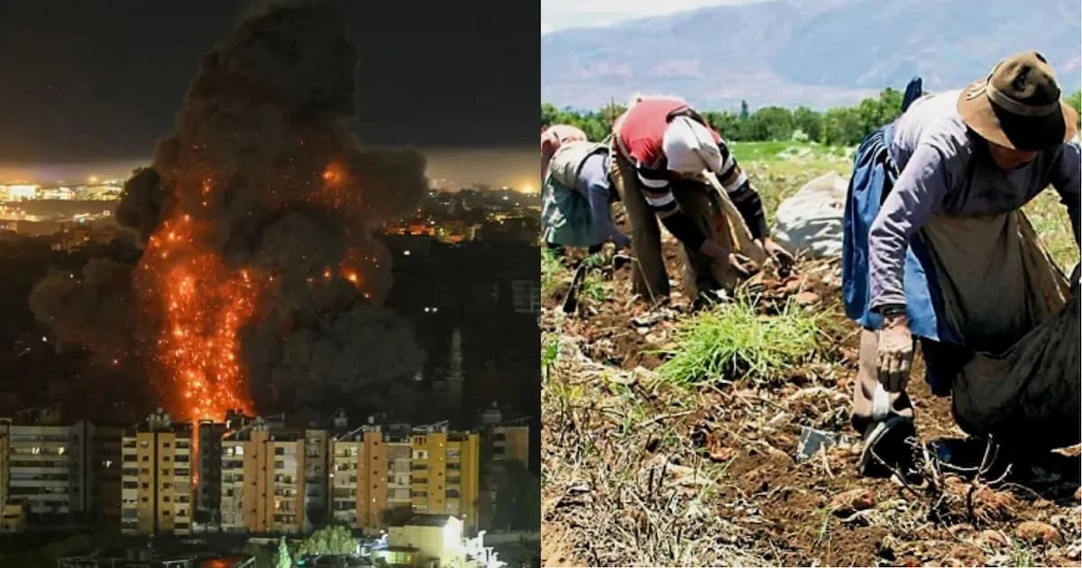 Crisis en Medio Oriente eleva precios de fertilizantes en Perú un 28%