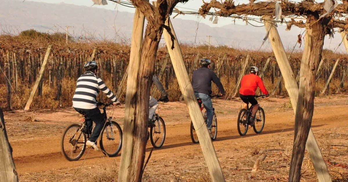 El enoturismo se consolida como salvavidas en medio de la crisis del consumo de vino