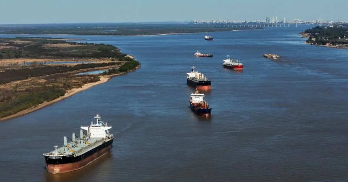 Desafíos del sector agropecuario argentino ante la economía global actual