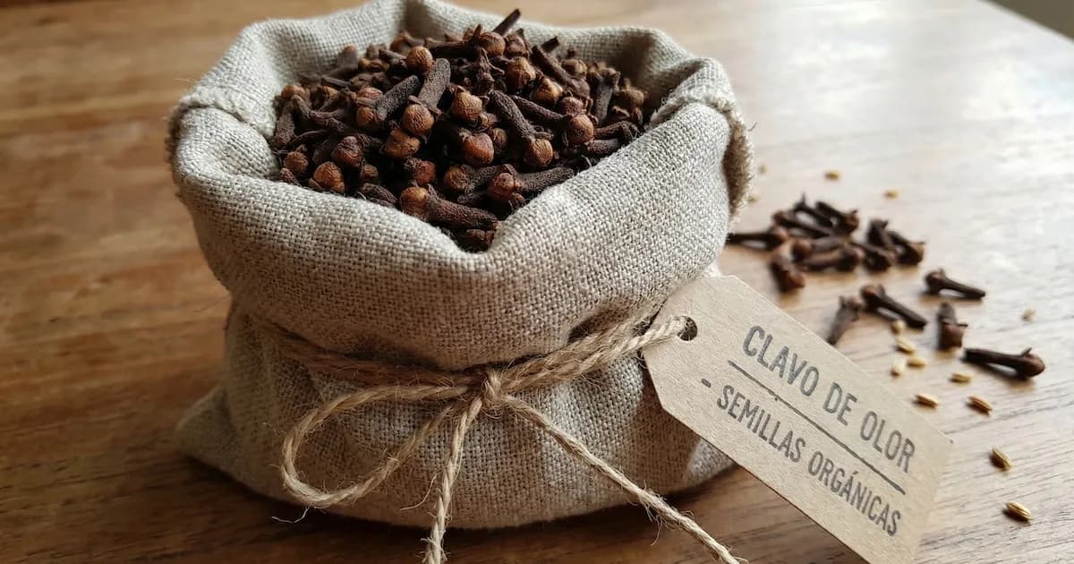 Guía para cultivar clavo de olor en casa y asegurar su florecimiento