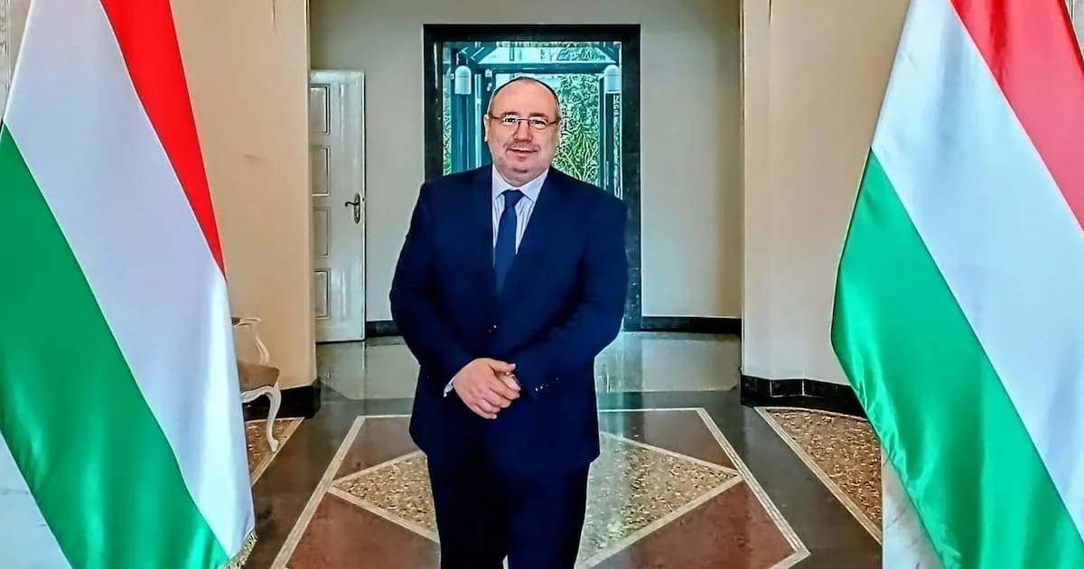 Hungría y sus estrategias: lecciones para la Argentina en tiempos de cambio