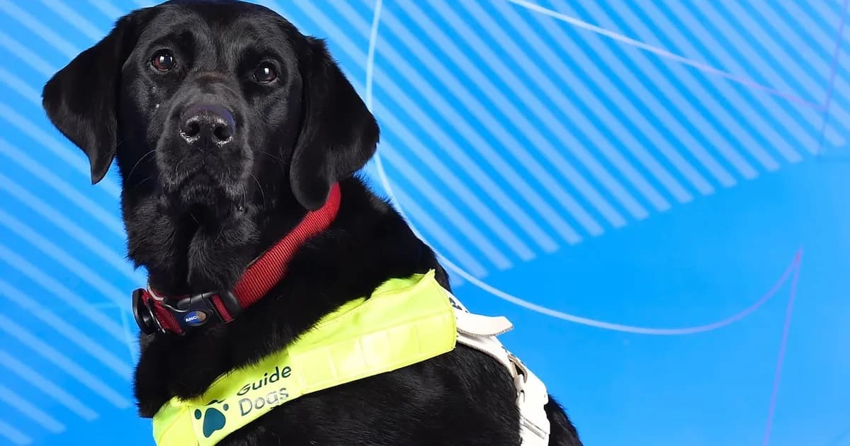 Hester Poole y Pickle: la historia de una atleta paralímpica y su perra guía