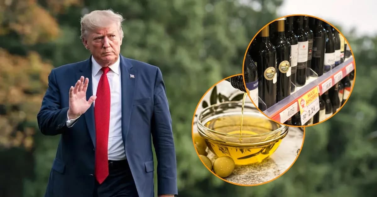 Fallo judicial en EE.UU. beneficia a vino y aceite de oliva españoles ante aranceles