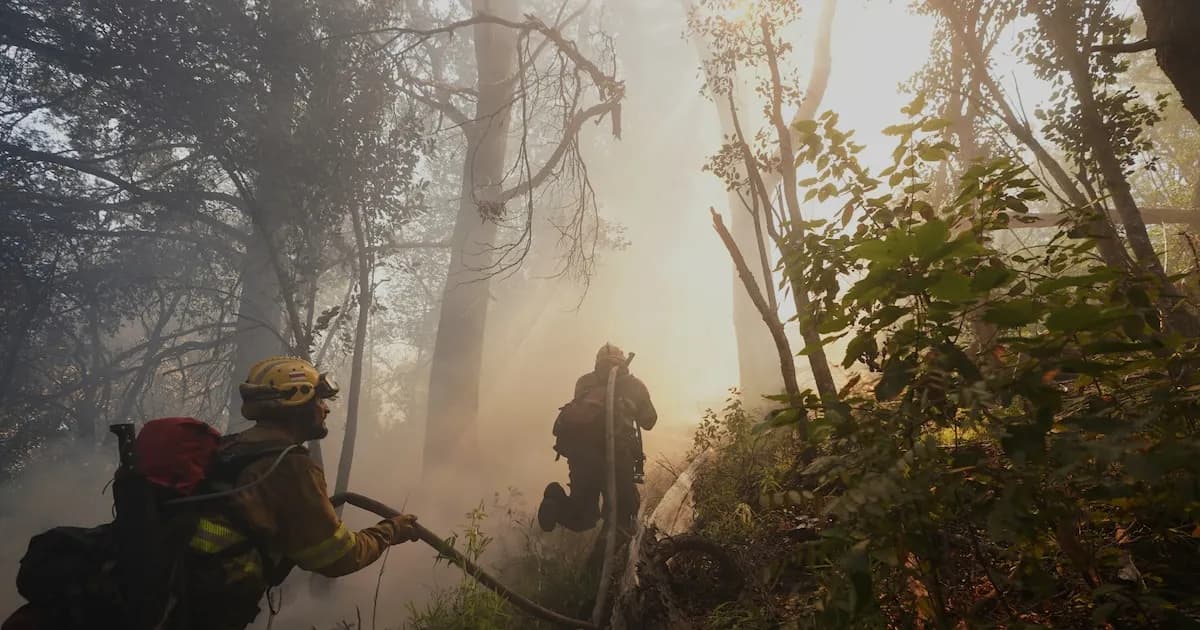 Abogado alerta sobre la necesidad de tipificar el ecocidio en Argentina