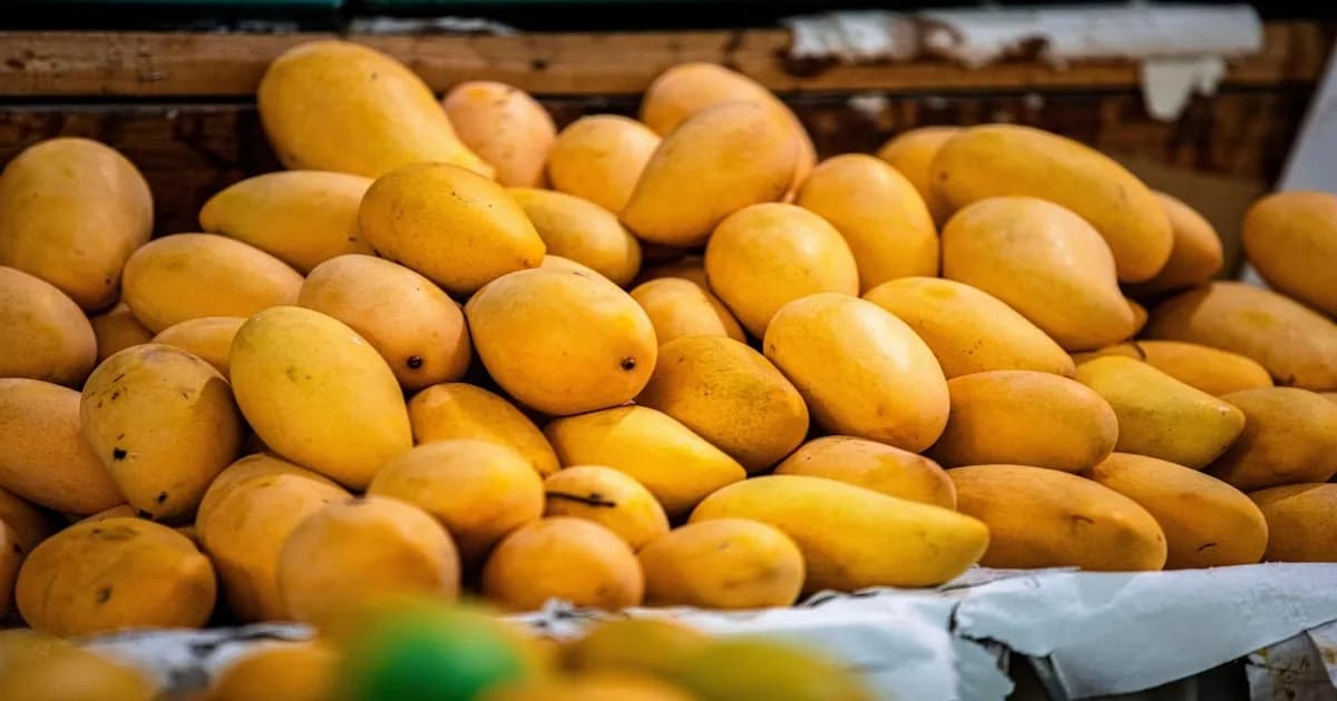 Mango: la fruta que protege el cerebro, corazón y riñones gracias a la mangiferina