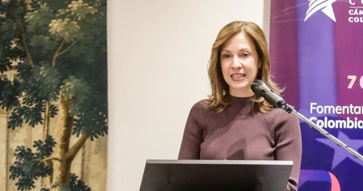 Aranceles de Estados Unidos a Colombia permanecerán vigentes, advierte AmCham