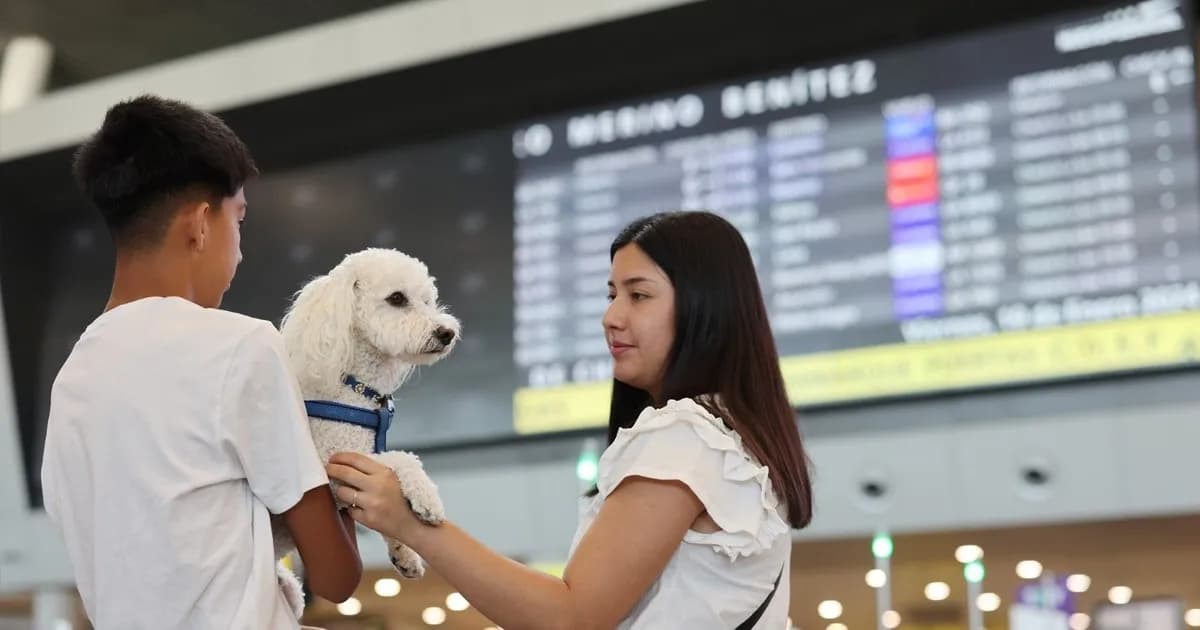 Consejos esenciales para viajar con tu mascota durante Semana Santa