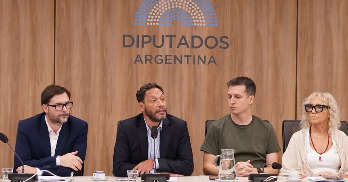 Investigación por Libra: La oposición pide cuentas al presidente Milei y su entorno