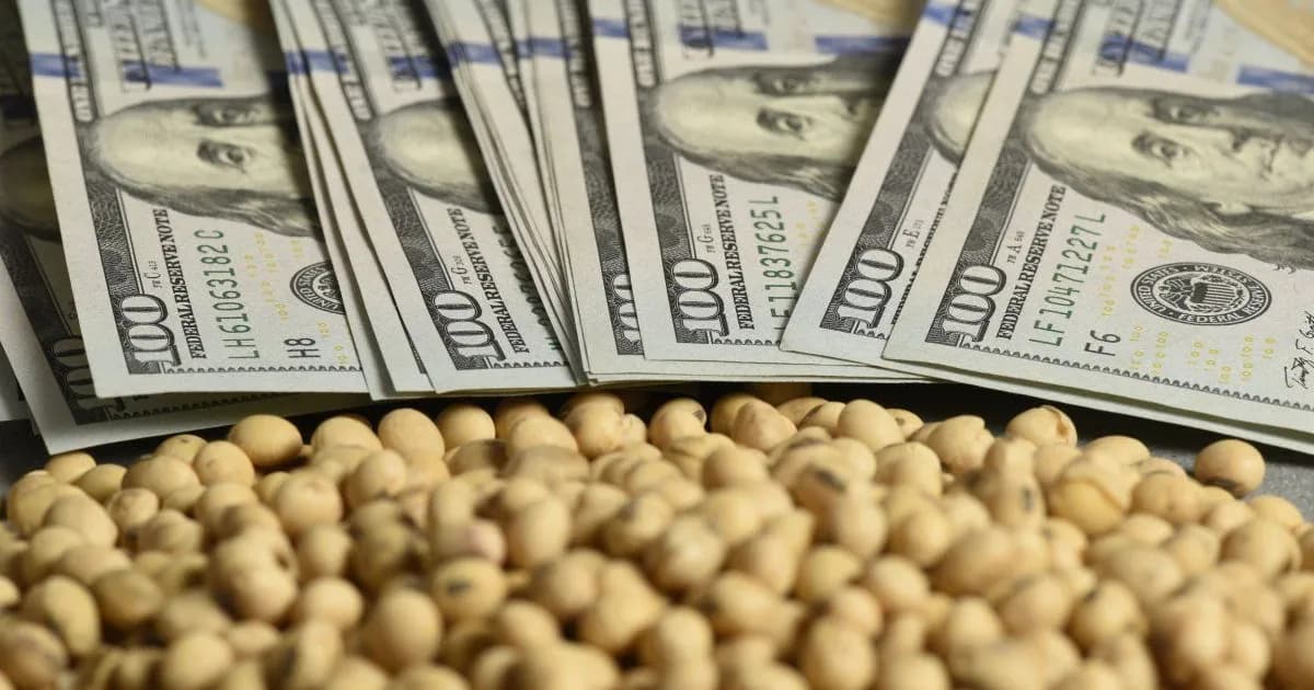 La soja sufre la mayor caída del año en Chicago y agita el mercado de granos