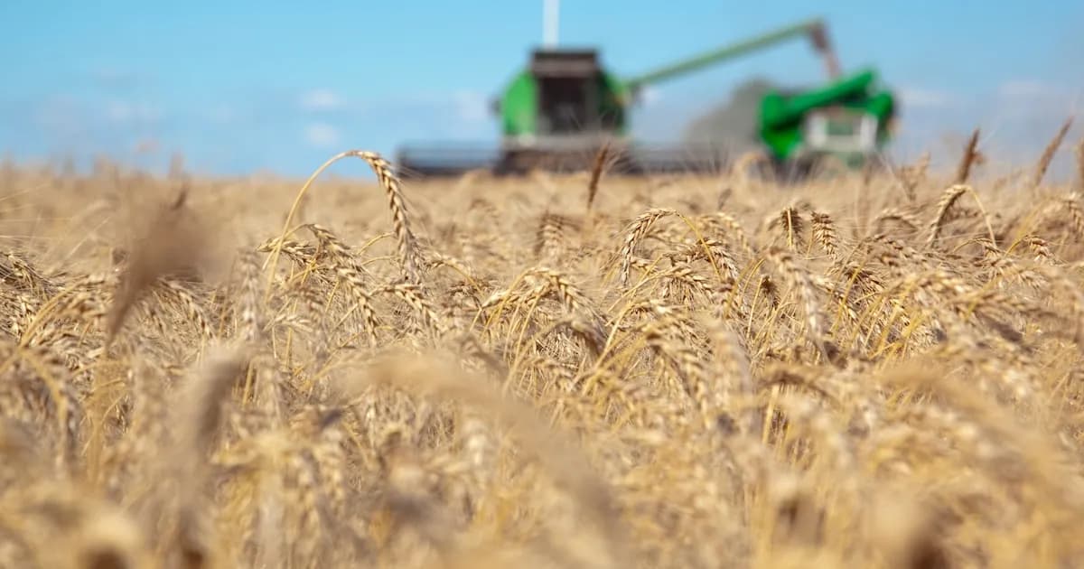 Proyección de ingresos del agro argentino: USD 34.530 millones en 2026 a pesar de desafíos