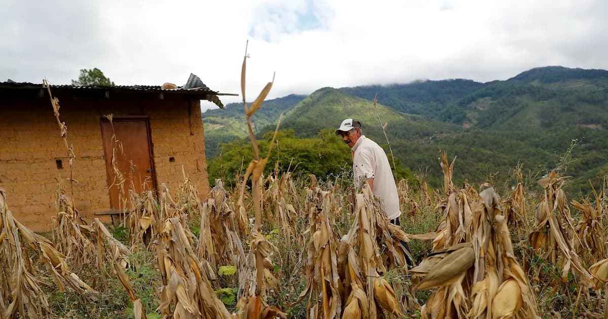 Colombia enfrenta crisis alimentaria por aumento en importaciones de granos