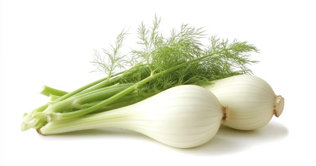 Descubrí los beneficios del hinojo para la presión arterial y su consumo adecuado