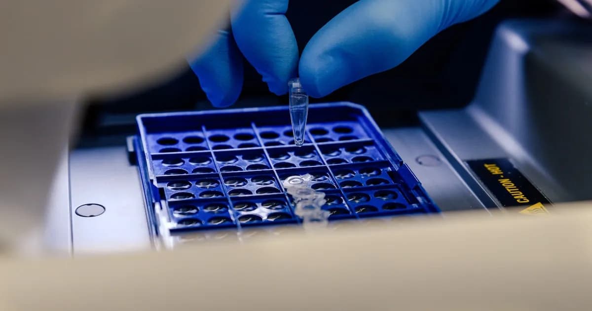 Descubrimiento sobre 'ADN basura' abre nuevas vías en la prevención del cáncer de colon