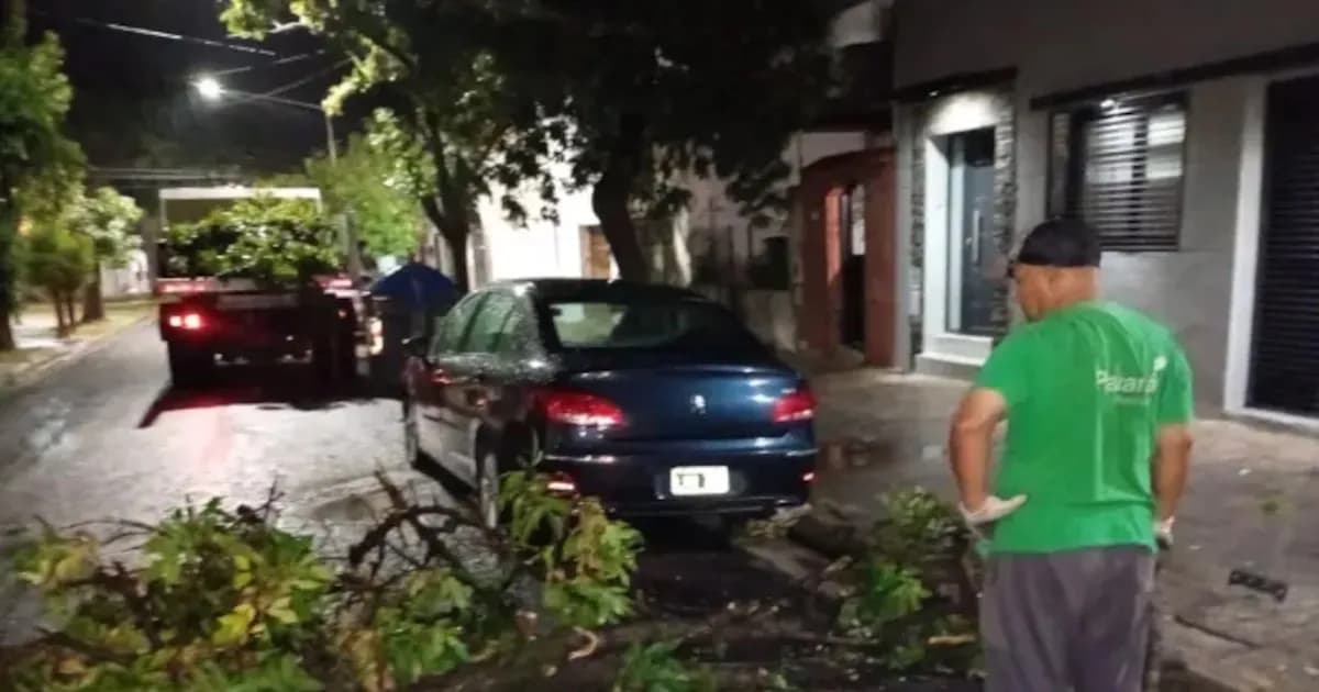 Fuerte temporal causa dos muertes y daños en varias provincias: Alerta amarilla vigente