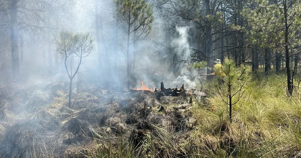 Crisis de incendios en Edomex: 97 siniestros y comunidades en alerta