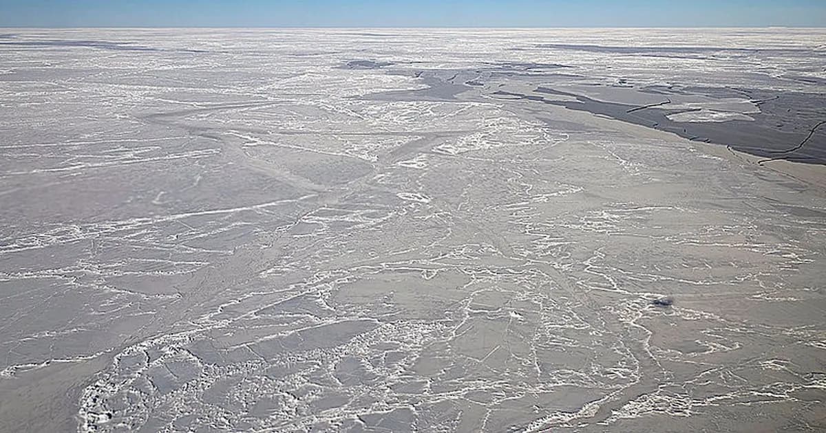 El derretimiento acelerado del hielo marino en la Antártida: un fenómeno alarmante