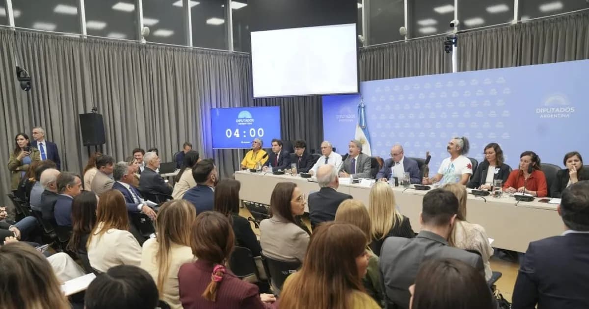 Controversias en Audiencias Públicas por la Reforma de la Ley de Glaciares