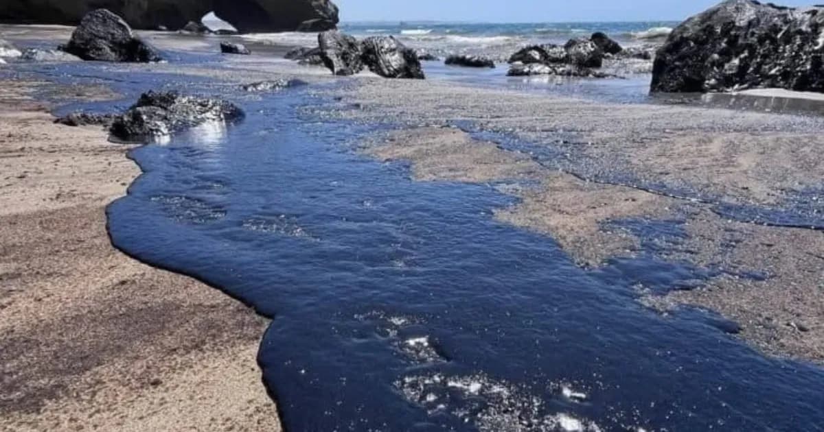 Senado mexicano exige informe sobre derrame de petróleo en playas de Veracruz y Tabasco