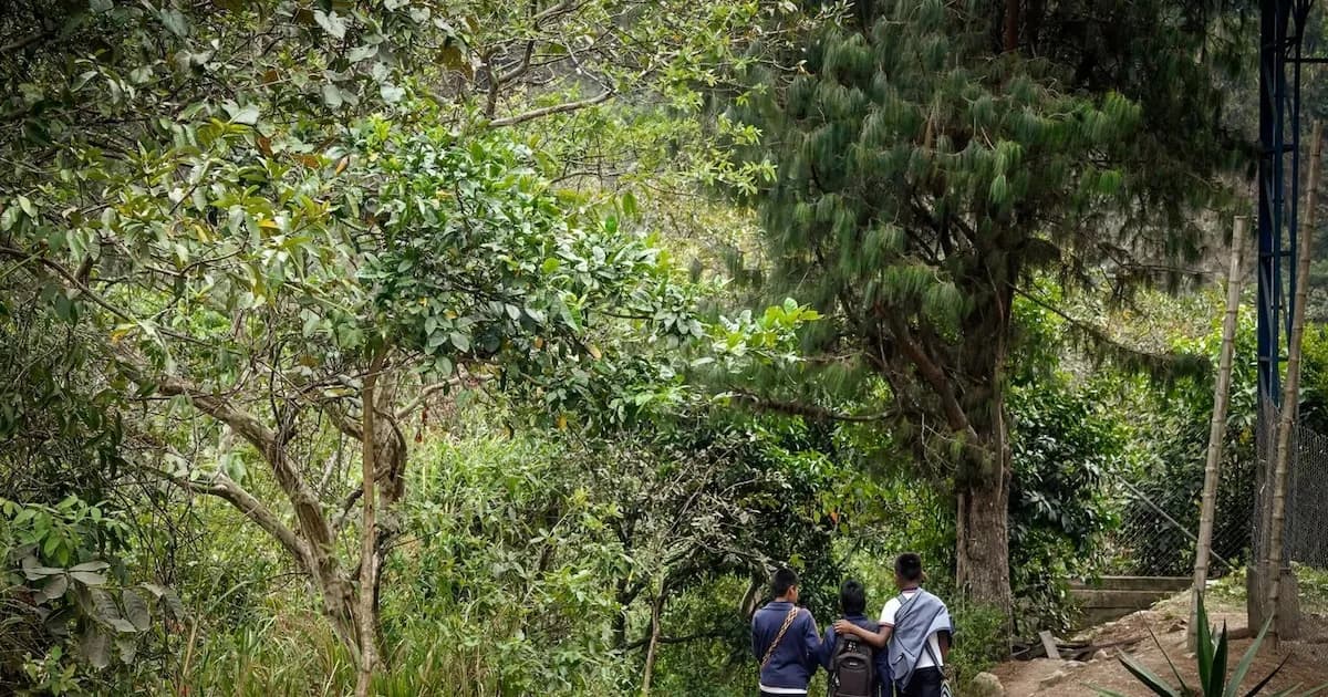 Crisis humanitaria en Yondó: Desplazamientos forzados por enfrentamientos entre grupos armados