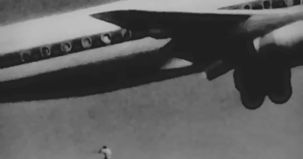 El trágico deseo de un joven: un polizón que cayó del cielo