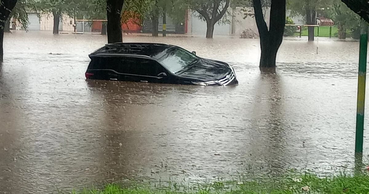 Mar del Plata: Lluvia torrencial inunda calles y vehículos en solo siete minutos