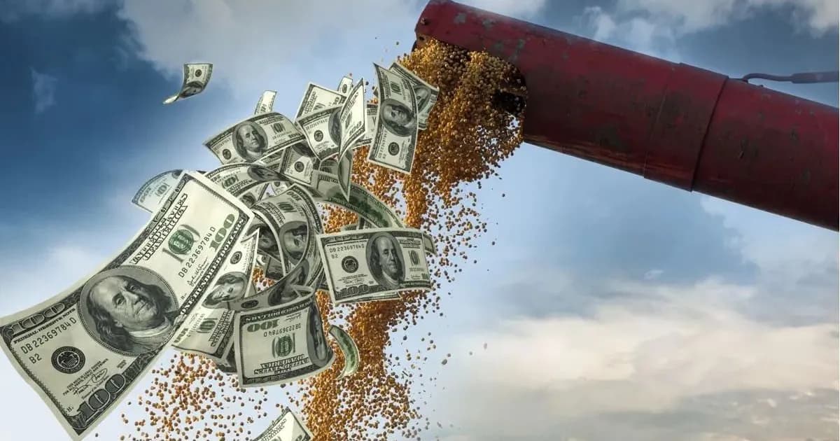 Expectativas sobre el Dólar: Aumento de Oferta por Cosecha Gruesa y Desafíos Internacionales