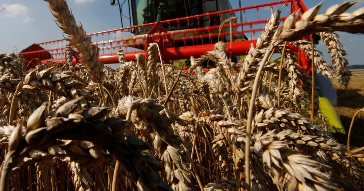 Aumento del 24% en el patentamiento de maquinaria agrícola en marzo