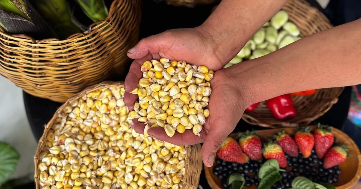 Aumento del 2,4% en precios de alimentos a nivel mundial por tensiones en Medio Oriente