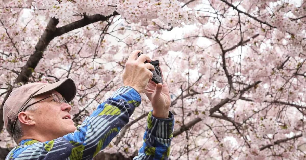 Actividades Gratuitas en Nueva York: Arte, Comida y Cultura en Abril de 2026