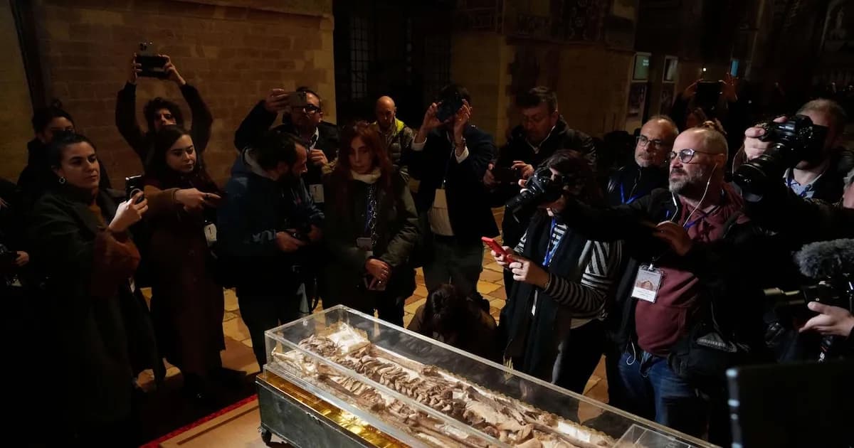 Restos de San Francisco de Asís se exhiben por primera vez en su 800° aniversario