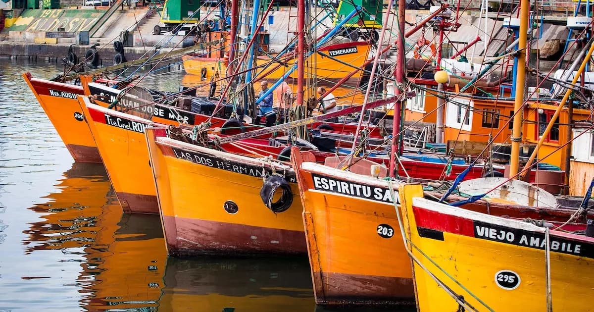 Crisis del gasoil: la pesca argentina en riesgo por aumento de costos