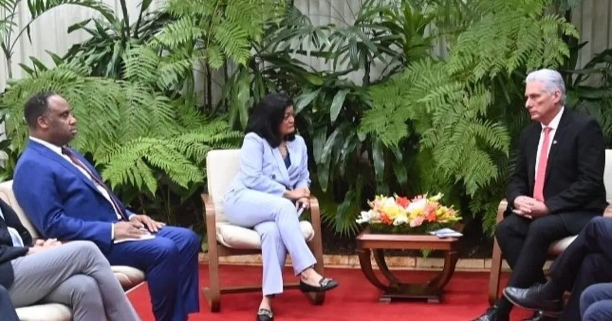 Díaz-Canel se reúne con congresistas estadounidenses y reafirma su apertura al diálogo