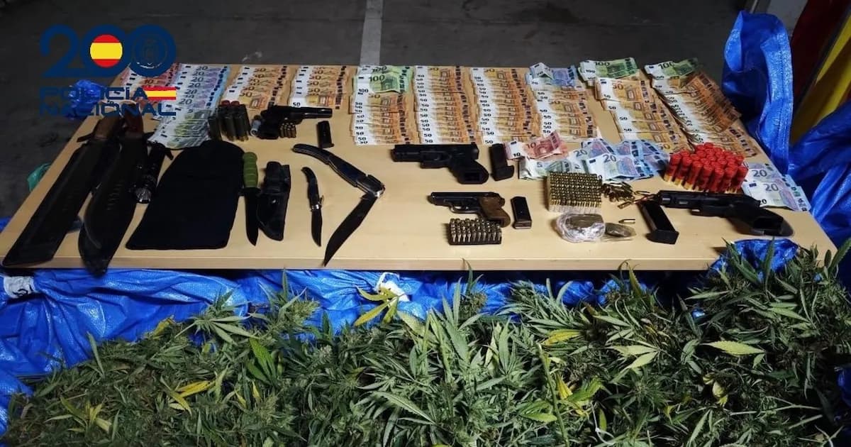 Desmantelan red de cultivo de marihuana en Sevilla: 12 detenidos en operativo policial