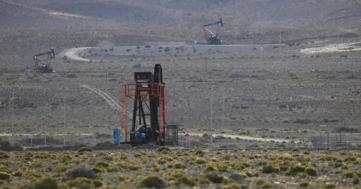 Caída de la producción minera en febrero: un nuevo golpe a la economía argentina