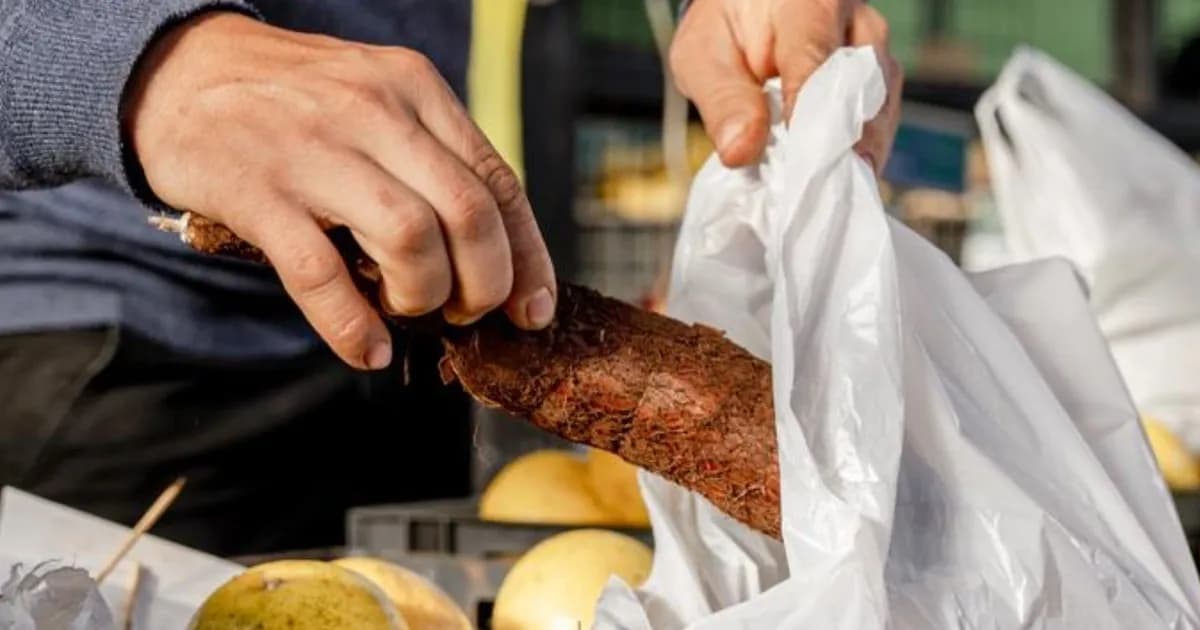 La mandioca como motor de innovación y empleo en Misiones