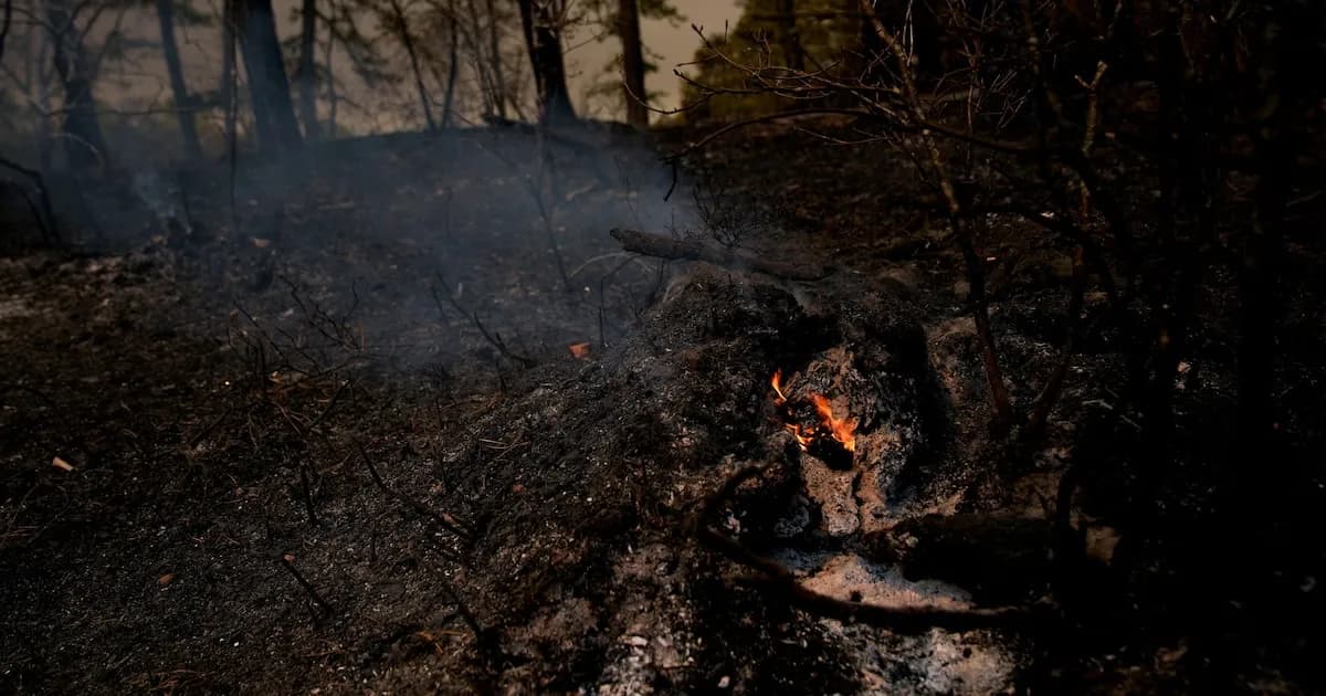 Alerta por alto riesgo de incendios forestales en el noreste de EE.UU. en abril