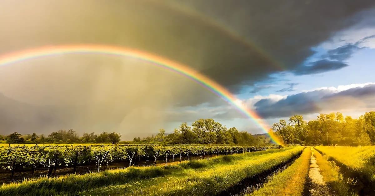 Pronóstico del Tiempo para Puerto Plata: Temperaturas y Precipitaciones del 12 de Abril