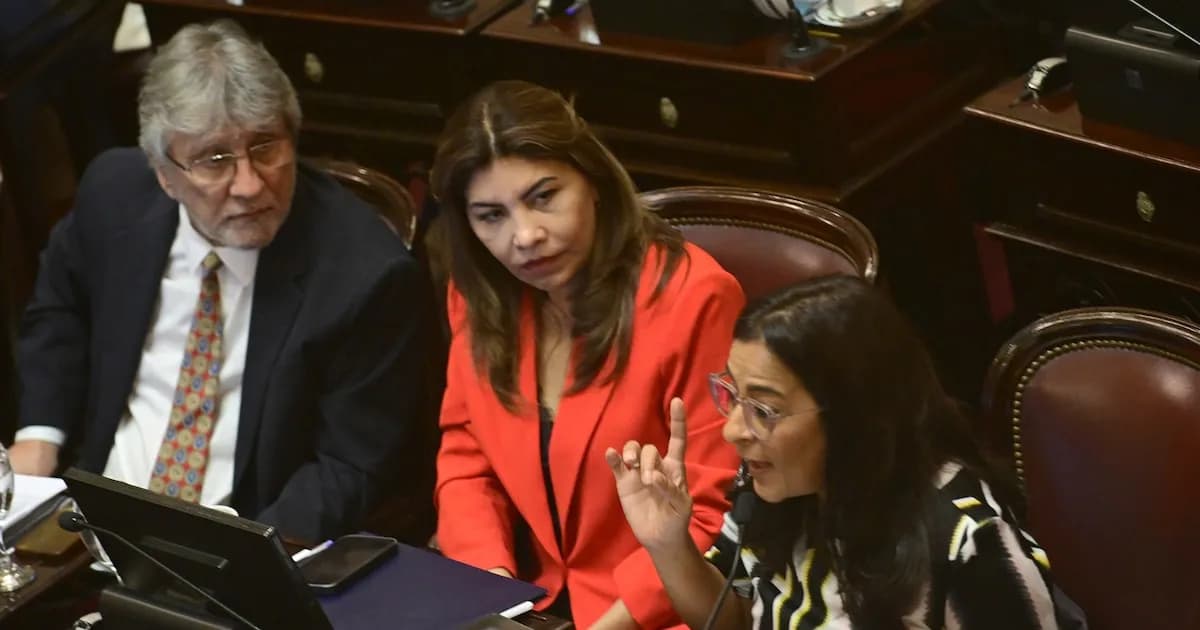 Tensión en el Senado por la distribución de comisiones bicamerales clave
