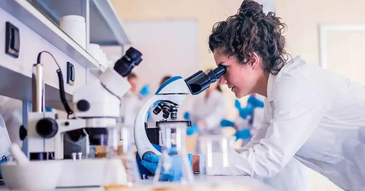 La transformación educativa en América Latina: Un enfoque en la investigación