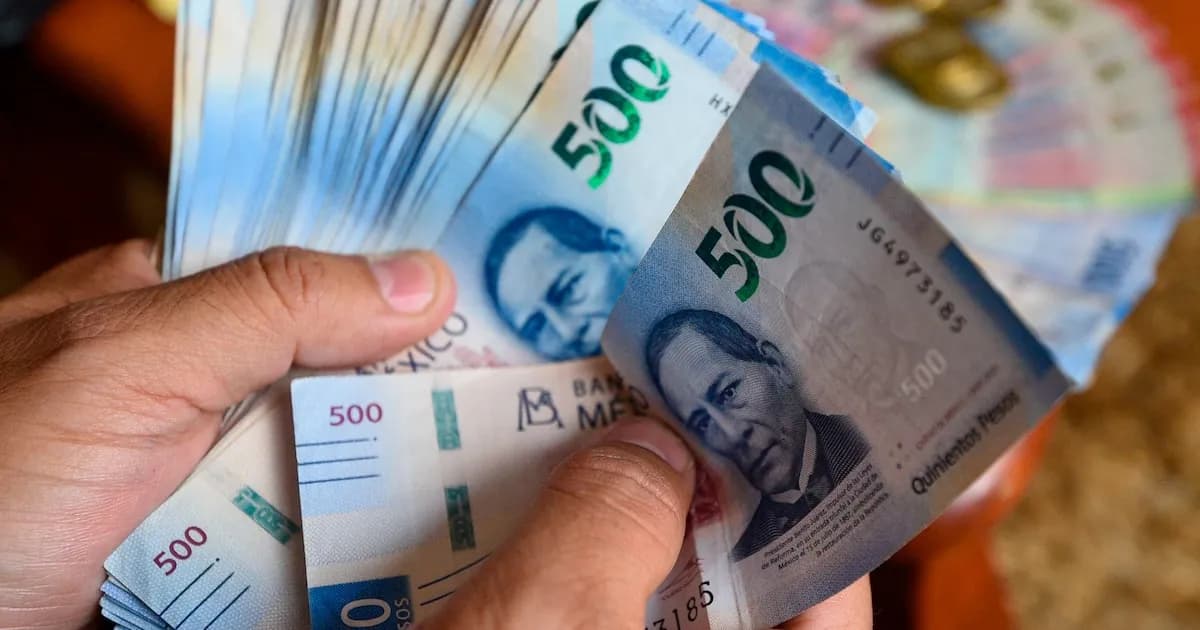 Cómo verificar si tu empresa repartirá utilidades este año