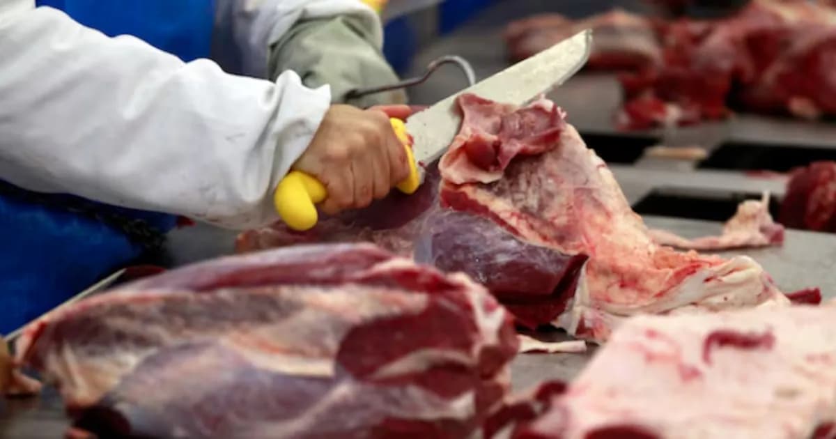 Las exportaciones de carne argentina alcanzan cifras récord en 2025