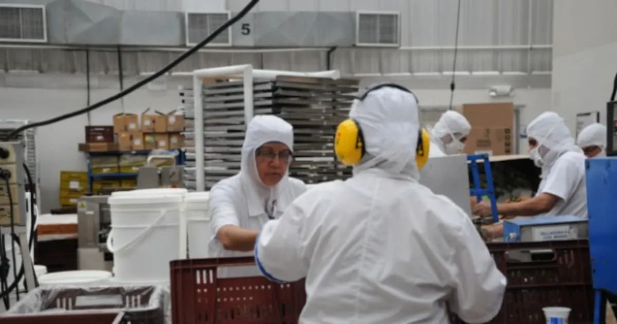 Colombia establece nuevo salario mínimo para 2026 y genera debate en el sector empresarial