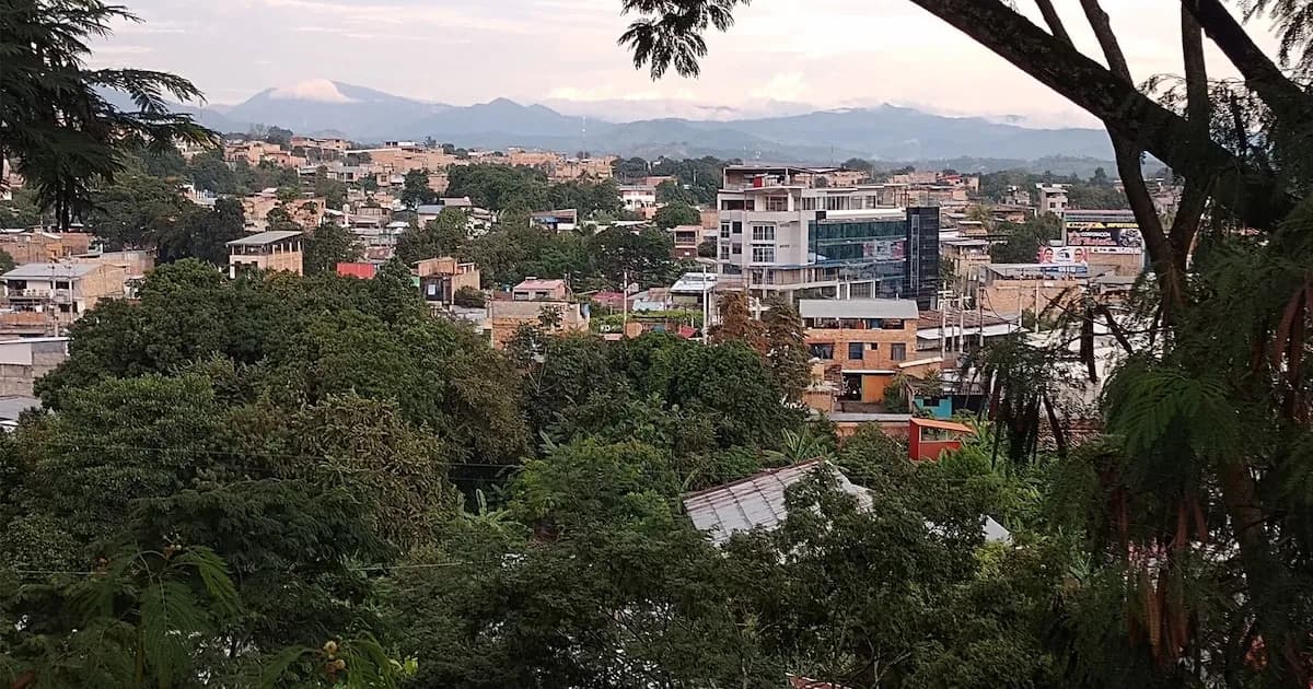 Pronóstico del Clima en Tarapoto para el 24 de Febrero: Tormentas y Chubascos