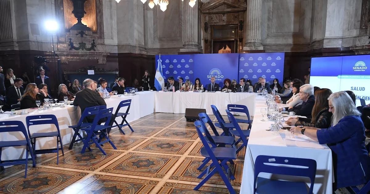 El Senado avanza en la reforma de la ley de salud mental con más de 30 especialistas