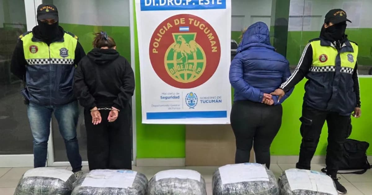 Detienen a dos mujeres con 48 kilos de marihuana en encomiendas entre Salta y Tucumán
