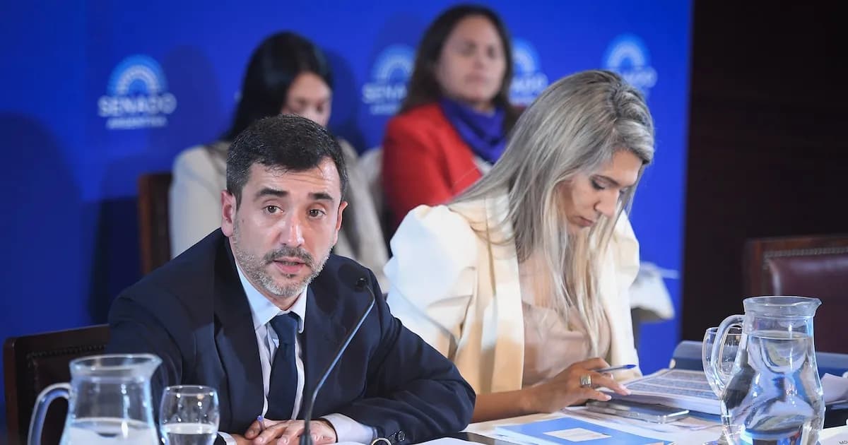 Senador oficialista aclara que no se tratarán todos los proyectos de reforma política en conjunto